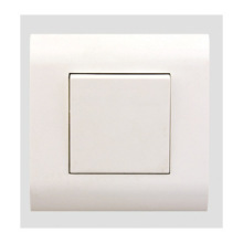 LEGRAND MOSAIC SWITCH
