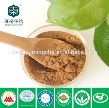 tea factory supply green tea extract capsules weight loss