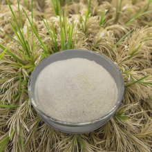 Plant-Based Rice Protein Powder for Animals Health