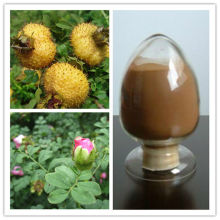 Rosa roxburghii Fruit Extract Vitamin C 3%-25%