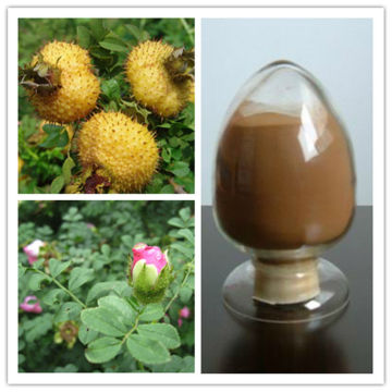 Rosa roxburghii Fruit Extract Vitamin C 3%-25%