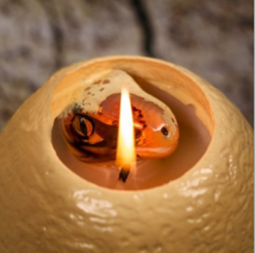 Hatching dinosaur egg candle