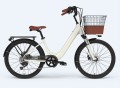 Lady Tern Electric Cargo Fahrrad