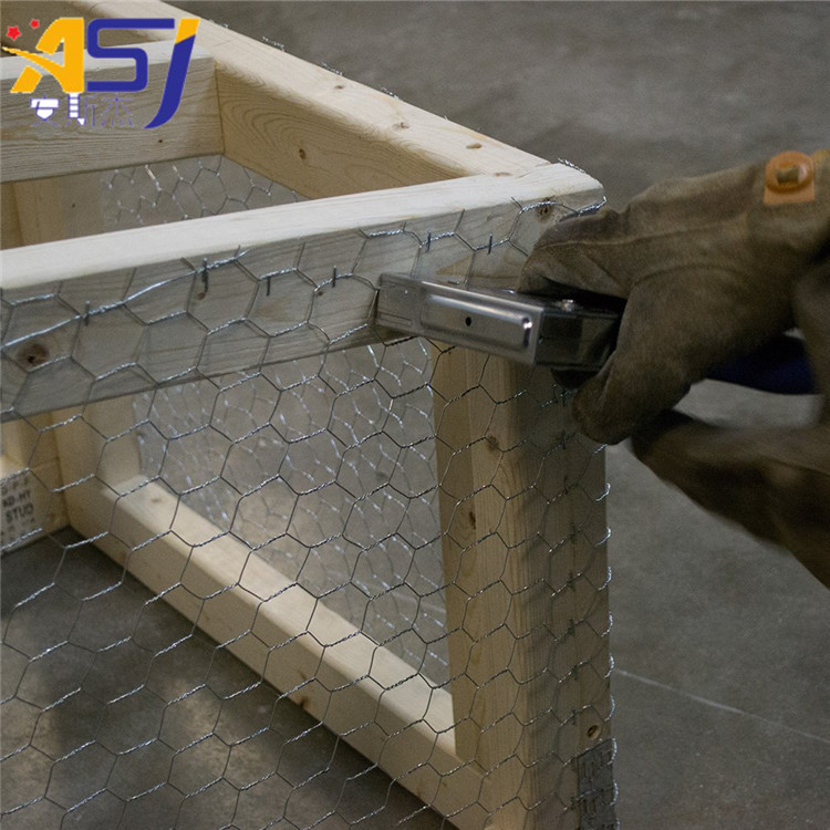 electro galvanized chicken wire mesh rolls for sale