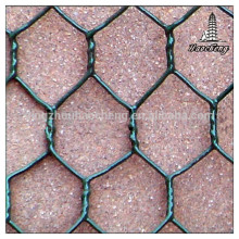 Green pvc coated plastic chicken wire mesh