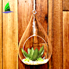 Hanging Glass Balls Ornament Succulent Plant Terrarium