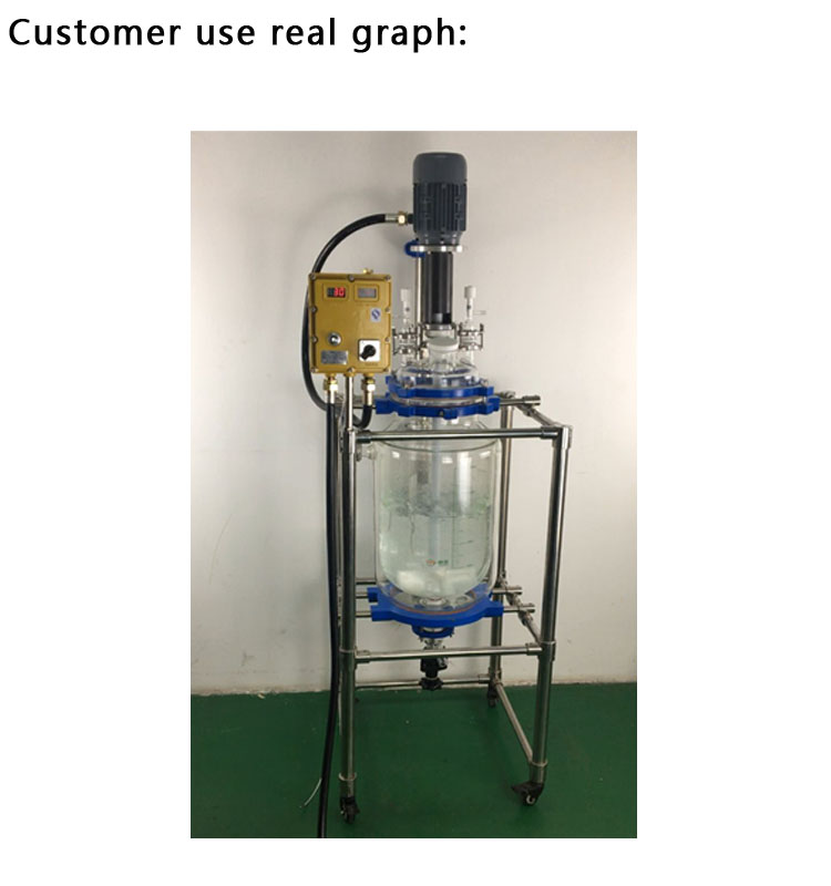 Customized 10L 30L 50L 100L stirring mixing glass vessel reactor for heating and cooling