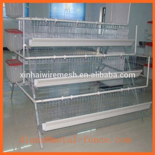 Chicken Layer Cage Price/Layer Cages for Sale/Chicken Cage for Sale in Philippines