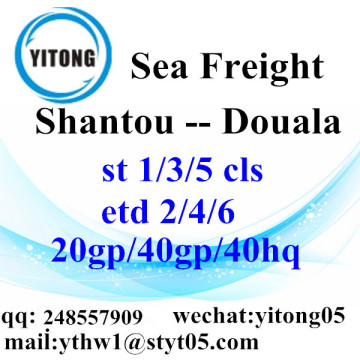 Shantou Seefracht Versand Agent nach Douala