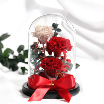 Wholesale Luxury Preserved Eternal Carnation Roses in Glass Dome