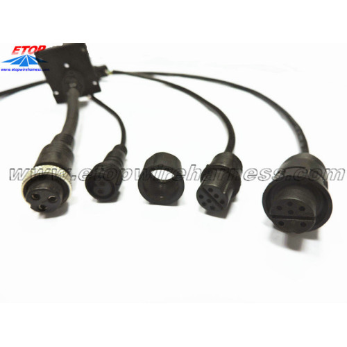 Molded Waterproof Connector For M8, M12