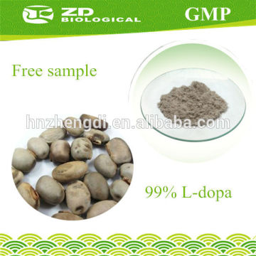 Increases muscles density Mucuna Pruriens Seeds L-dopa in Herbal Extract