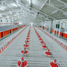 Poultry Farming Equipment and Parts