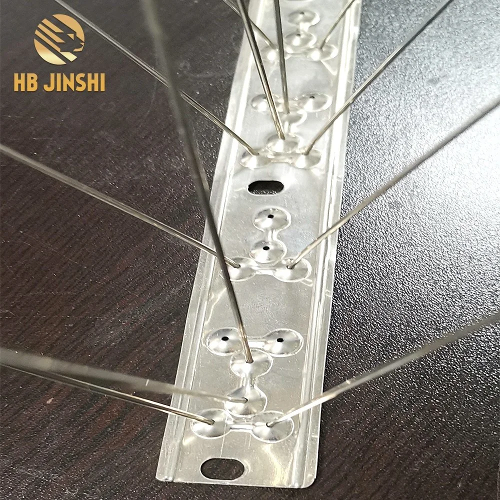 Natural Plastic Bird Spikes Bird Pest Control with Stainless Spike
