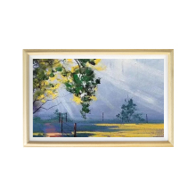 Wall Mounted Digital Photo Frame LCD Advertising Display