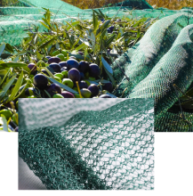 Wholesale Dark Green HDPE Olive Net Fruit Collection Nets (50g~200g)