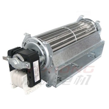 Blower motor