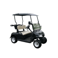 2 person gas power golf carts for sale