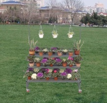 Tri-Step Display Bench with Purlin: Garden Display Racks and Shelving Solutions