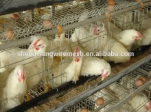 battery broiler chicken cage & Wire mesh chicken cage