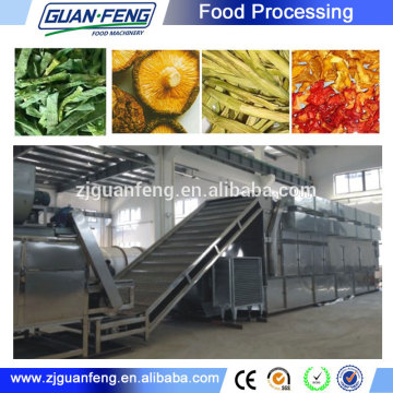 continues vegetable dryer / dehydration vegetable dryers / convey belt dryer