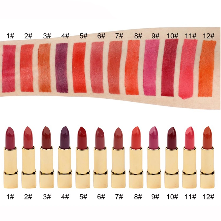 High Quality OEM Professional Custom Logo Matte Moisturizing Lip Gloss Wholesale Waterproof 24 Colors Lipstick Makeup