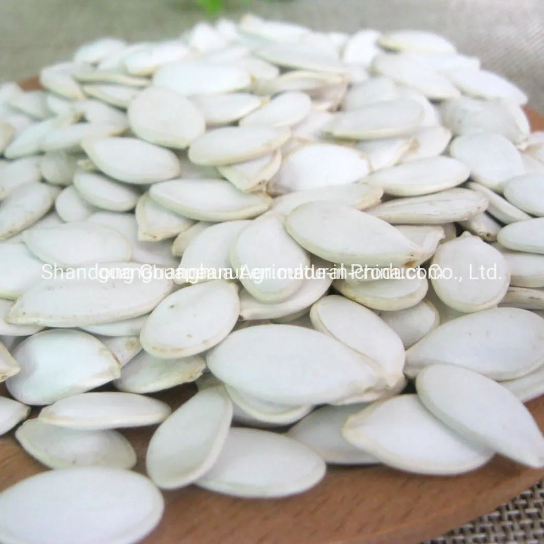 Factory Direct Snow White Pumpkin Seeds From China