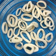 Frozen IQF Squid Rings Dosidicus Gigas Squid Rings