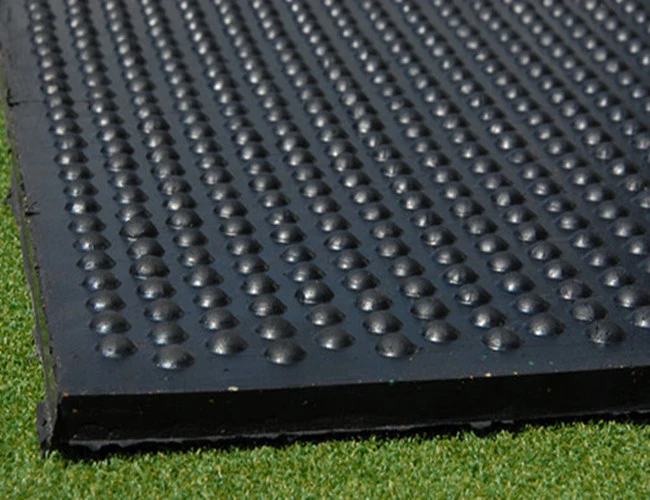 Anti-Bacteria Rubber Mat/Horse Mat/High Quality Cow Stable Mat, Cow Mat