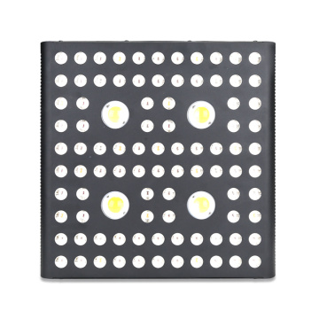 Herb LED Grow Light เต็มสเปกตรัม