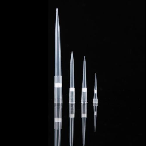 1000ul Filter universal Pipette Tips Racked