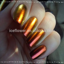 Nail LED UV Gel polish Christmas gift /Nail Gel polish set