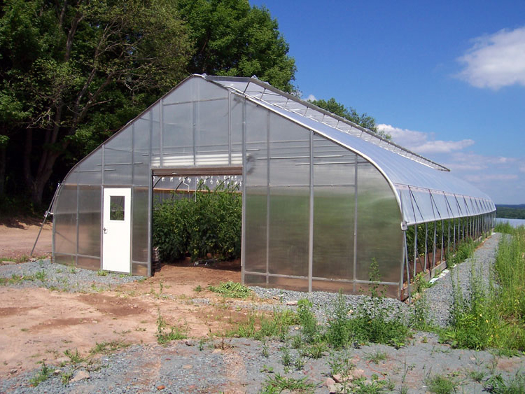 High Quality Gothic Structure Arch Film Greenhouse