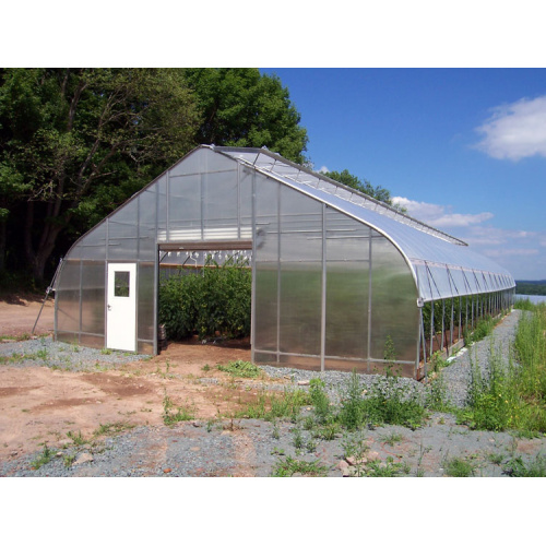 High Quality Gothic Structure Arch Film Greenhouse