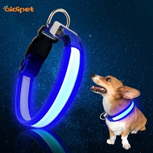 Best Rechargeable Led Lights Dog Collar