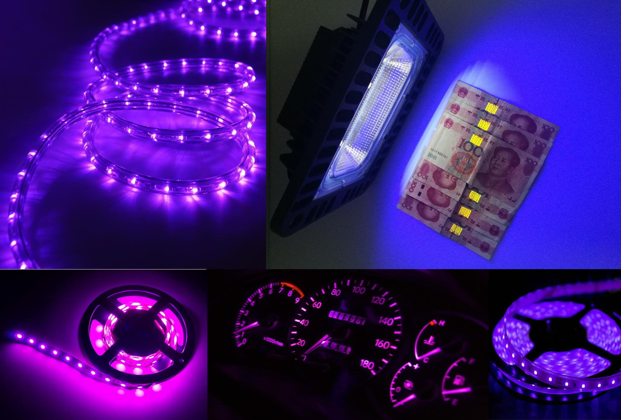 PURPLE LED