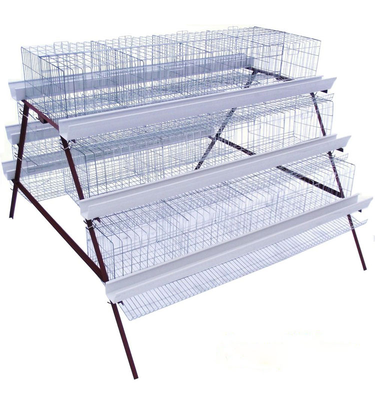 Haiao Trade Assurance High Security Poultry Cages Chicken Layer Cage i Indien