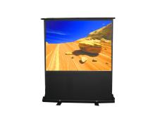 Floor stand screen