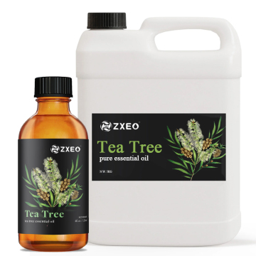 Tea Tree Essential Oil Aromatherapy Diffuser Soap Candle