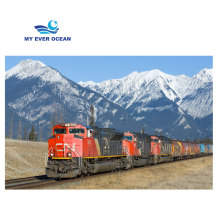 Chinese Freight Forwarder for USA and Canada: Ever Ocean DDP DDU Door-to-Door FTL LTL Shipping Agent