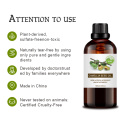 Pure Organic Camellia Seed Oil Care for Skin