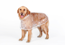 Dog Raincoat Pet Waterproof Clothing Jacket