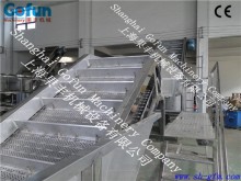 Chain plate type fruit sorting machine