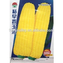 Hybrid Yellow Sweet Waxy Corn Seed For Growing-Ken Early Frangrance