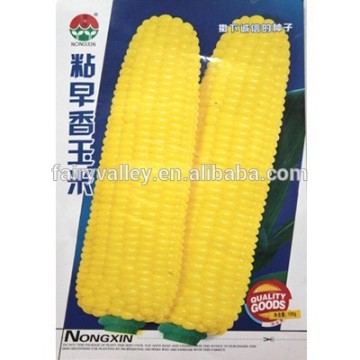 Hybrid Yellow Sweet Waxy Corn Seed For Growing-Ken Early Frangrance