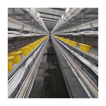 Commercial H-Type Automatic Chicken Cage for Broilers and Breeding