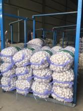 Mesh Bag Fresh Garlic