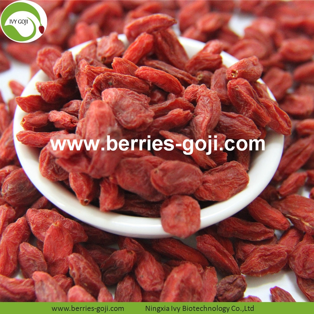 Goji-Beeren goji berry