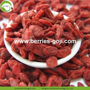 Wholesale Bulk Price Eu Standard Goji Berries