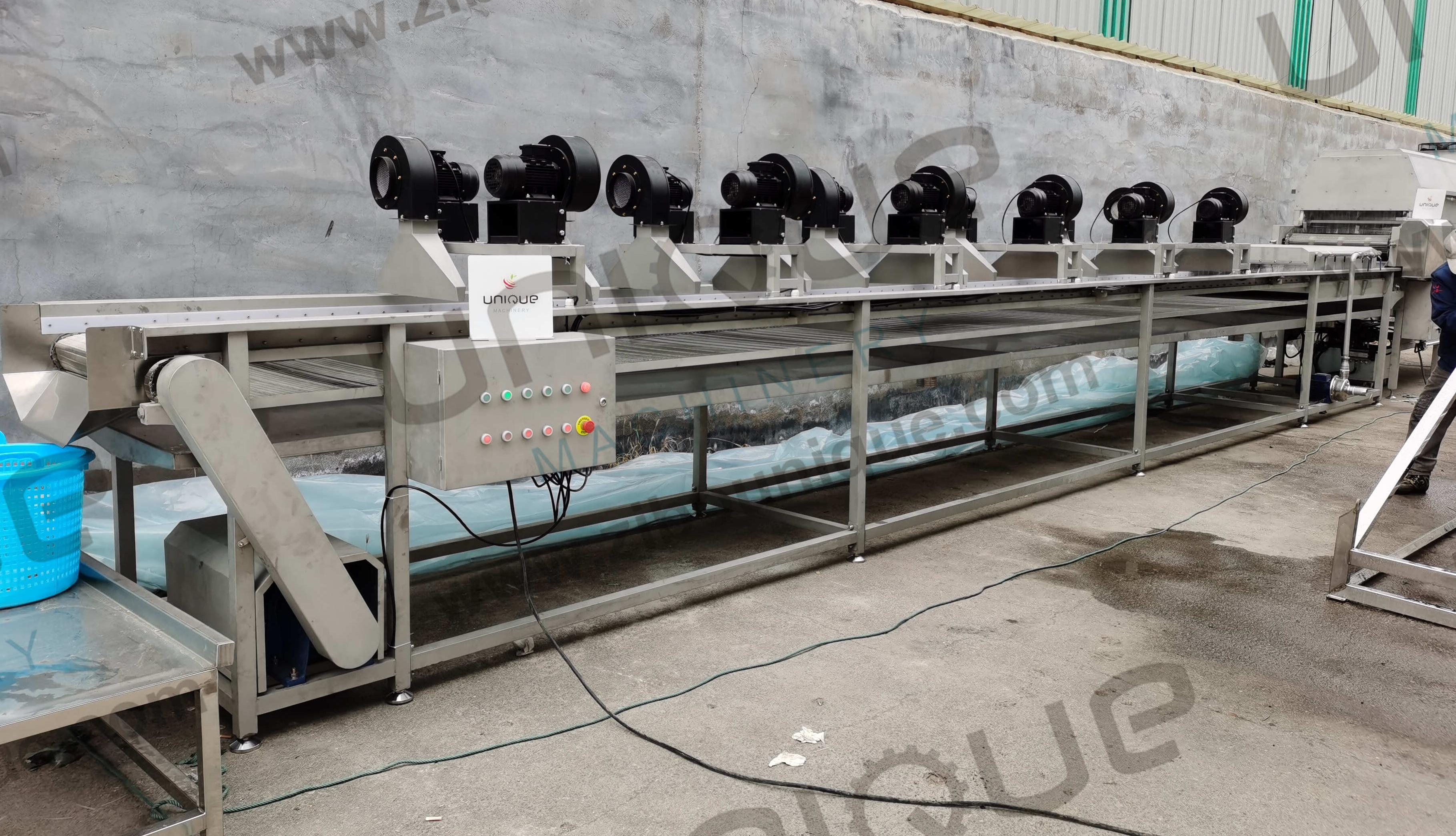 Automatic Date Palm Sorting, Washing, And Drying Processing Machine ...
